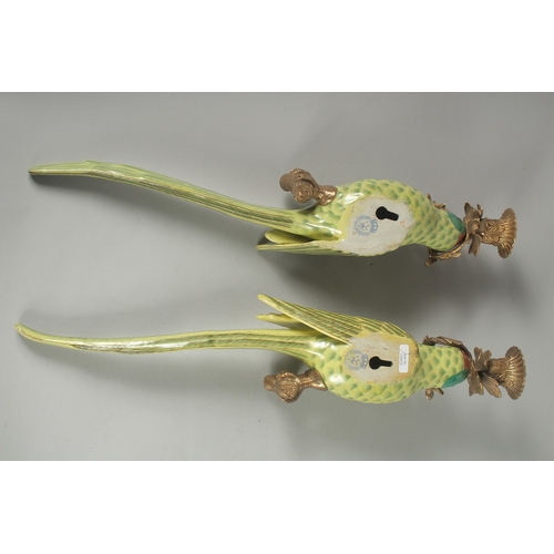 1087 - A GOOD PAIR OF PORCELAIN GREEN  PARROT WALL SCONCES with gilt metal surrounds. 18.5ins long.