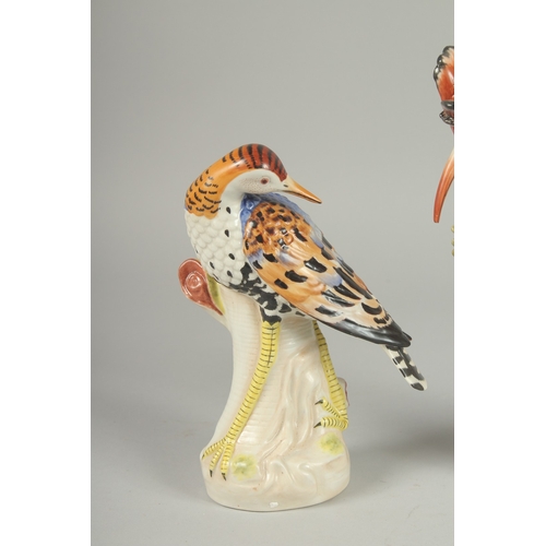 1089 - A PAIR OF PORCELAIN EXOTIC BIRDS on tree stumps. 9ins & 7.5ins high.