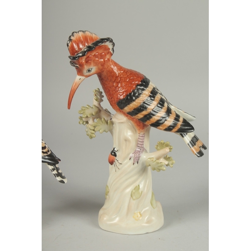 1089 - A PAIR OF PORCELAIN EXOTIC BIRDS on tree stumps. 9ins & 7.5ins high.