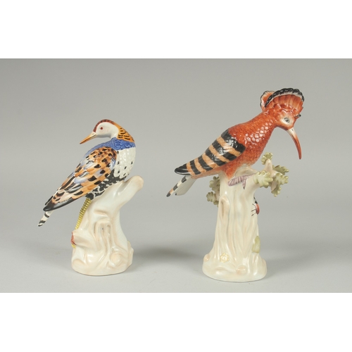 1089 - A PAIR OF PORCELAIN EXOTIC BIRDS on tree stumps. 9ins & 7.5ins high.