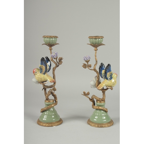 1090 - A GOOD PAIR OF PORCELAIN AND GILDED METAL BIRD CANDLESTICKS on circular bases.  13ins high.