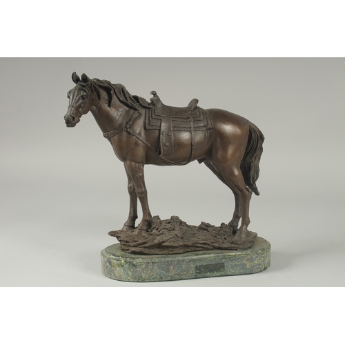 1105 - A BRONZE OF A HORSE with saddle.  9ins long on a shaped base.