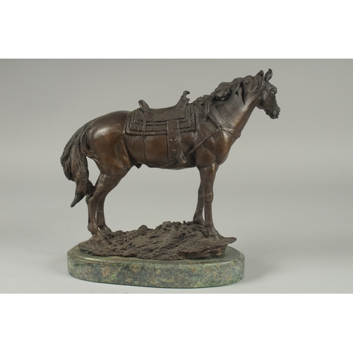 1105 - A BRONZE OF A HORSE with saddle.  9ins long on a shaped base.