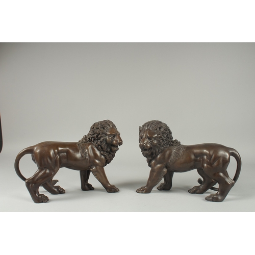 1106 - A PAIR OF BRONZE STANDING LIONS.  12ins long.