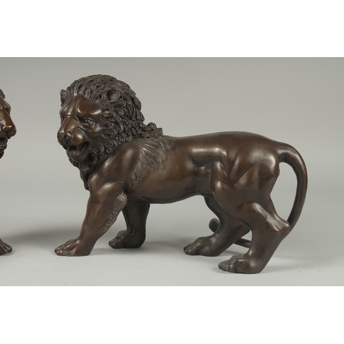 1106 - A PAIR OF BRONZE STANDING LIONS.  12ins long.