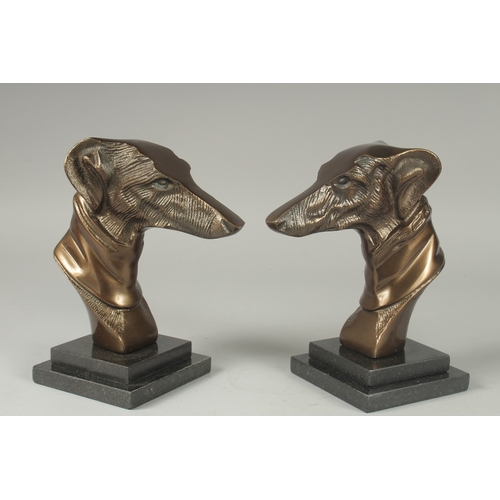 1113 - A PAIR OF BRONZE GREYHOUND HEADS on square marble bases.  7ins high.