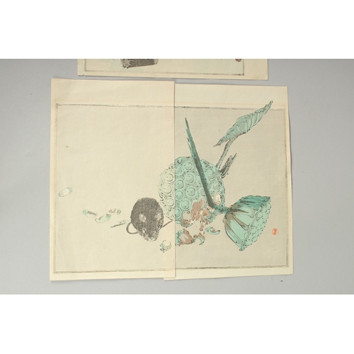 18 - SHOTEI WATANABE (1851-1918): FROM SEITEI'S ALBUM OF KACHOGA; 1890, two original Japanese woodblock p... 