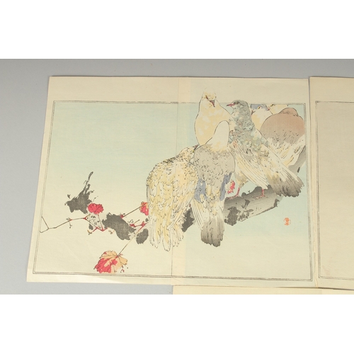 19 - SHOTEI WATANABE (1851-1918): FROM SEITEI'S ALBUM OF KACHOGA; 1890, three original Japanese woodblock... 