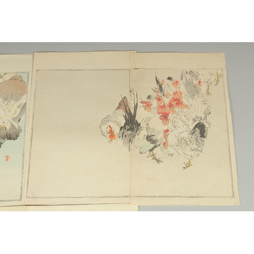 19 - SHOTEI WATANABE (1851-1918): FROM SEITEI'S ALBUM OF KACHOGA; 1890, three original Japanese woodblock... 