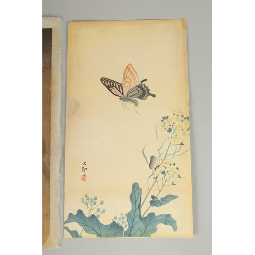 20 - KOSON OHARA (1877-1945): BIRDS AND FLOWERS, two early 20th century original Japanese woodblock print... 