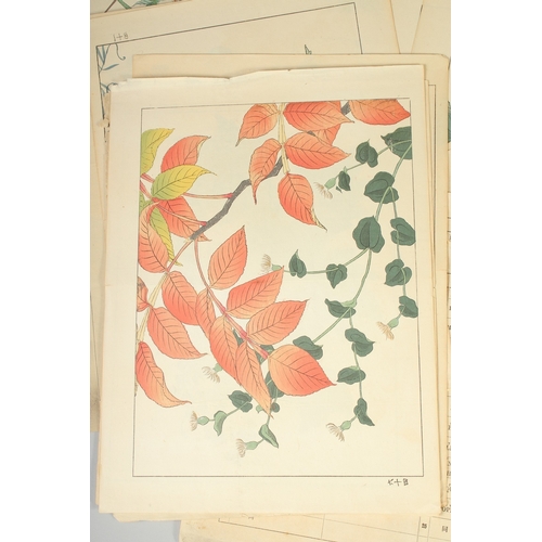 24 - AFTER HOITSU SAKAI (1761-1829): FROM THE SERIES OF FLOWERS OF FOUR SEASONS; a quantity of early 20th... 