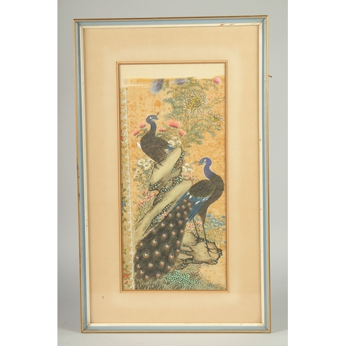 104 - A FINE CHINESE GOUACHE PAINTING ON SILK, depicting peacocks with gilt highlights, framed and glazed,... 