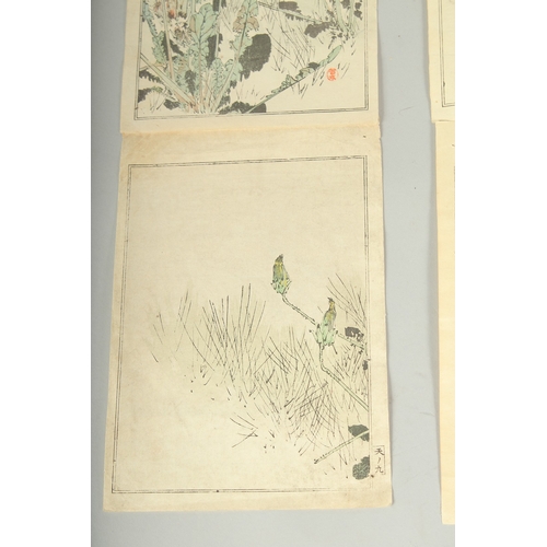 114 - SEITEI WATANABE (1851-1918): FROM THE PICTURE ALBUM OF BIRDS AND FLOWERS, 1903; three original Japan... 