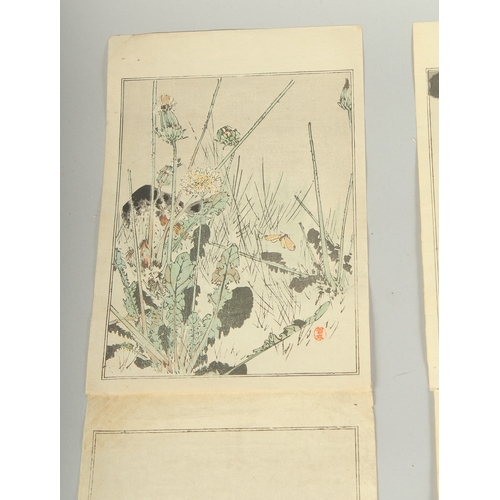 114 - SEITEI WATANABE (1851-1918): FROM THE PICTURE ALBUM OF BIRDS AND FLOWERS, 1903; three original Japan... 