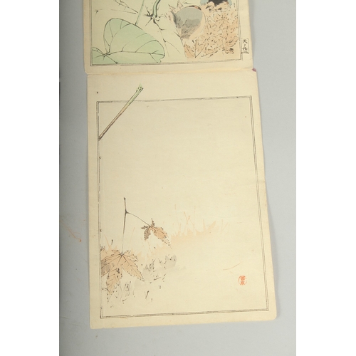 114 - SEITEI WATANABE (1851-1918): FROM THE PICTURE ALBUM OF BIRDS AND FLOWERS, 1903; three original Japan... 