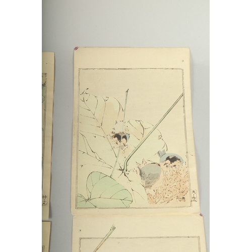 114 - SEITEI WATANABE (1851-1918): FROM THE PICTURE ALBUM OF BIRDS AND FLOWERS, 1903; three original Japan... 