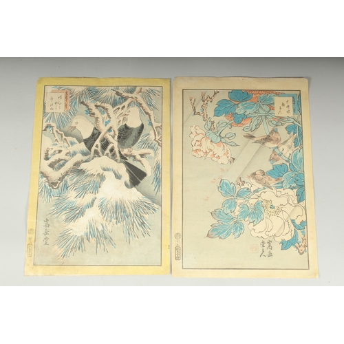 115 - SUGAKUDO NAKAYAMA (act. 1850-1861): FROM THE SERIES ALBUM OF FLOWERS AND BIRDS, 1859; two original J... 