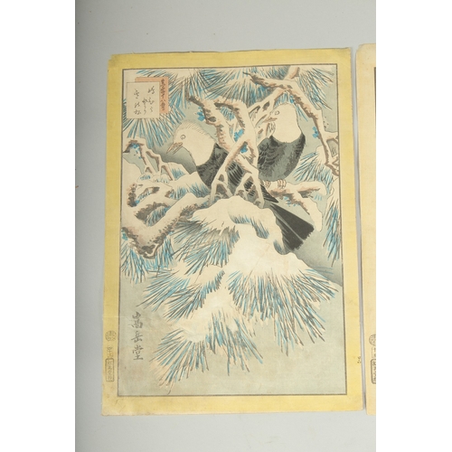 115 - SUGAKUDO NAKAYAMA (act. 1850-1861): FROM THE SERIES ALBUM OF FLOWERS AND BIRDS, 1859; two original J... 