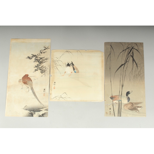 116 - KOSON OHARA (1877-1945): BIRDS AND FLOWERS; three early 20th century Japanese woodblock prints, (3).