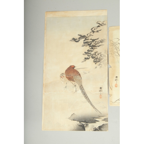 116 - KOSON OHARA (1877-1945): BIRDS AND FLOWERS; three early 20th century Japanese woodblock prints, (3).