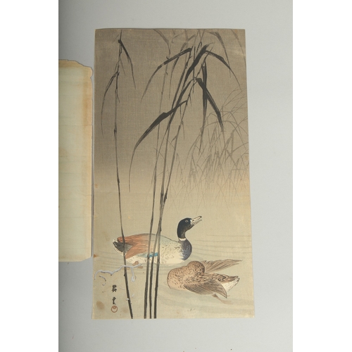 116 - KOSON OHARA (1877-1945): BIRDS AND FLOWERS; three early 20th century Japanese woodblock prints, (3).