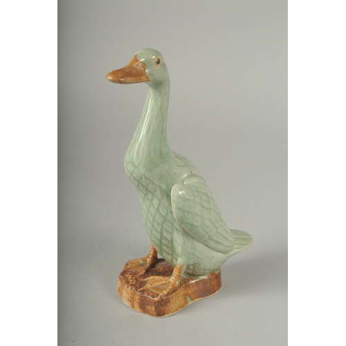 12 - A CHINESE REPUBLIC PERIOD CELADON PORCELAIN FIGURE OF A DUCK, with impressed mark to base, 20.5cm hi... 