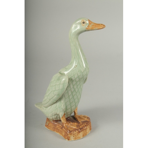 12 - A CHINESE REPUBLIC PERIOD CELADON PORCELAIN FIGURE OF A DUCK, with impressed mark to base, 20.5cm hi... 