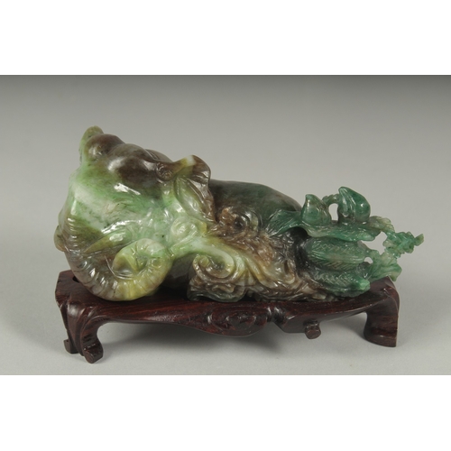 26 - A CHINESE CARVED JADE FIGURE OF AN ELEPHANT ON A FITTED CARVED HARDWOOD STAND, figure 14cm long.