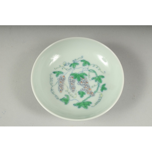 35 - A SMALL CHINESE DOUCAI PORCELAIN SAUCER DISH, painted with grapes, character mark to base, 9cm diame... 