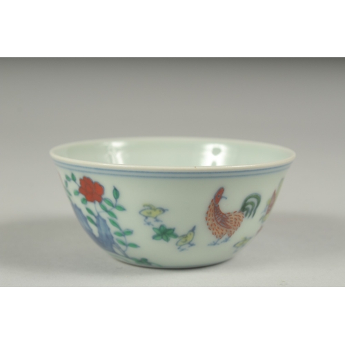 38 - A CHINESE DOUCAI PORCELAIN CHICKEN CUP, 8.5cm diameter.