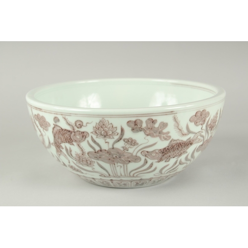 54 - A CHINESE UNDERGLAZE RED AND WHITE PORCELAIN BOWL, painted with fish and algae, 27.5cm diameter.