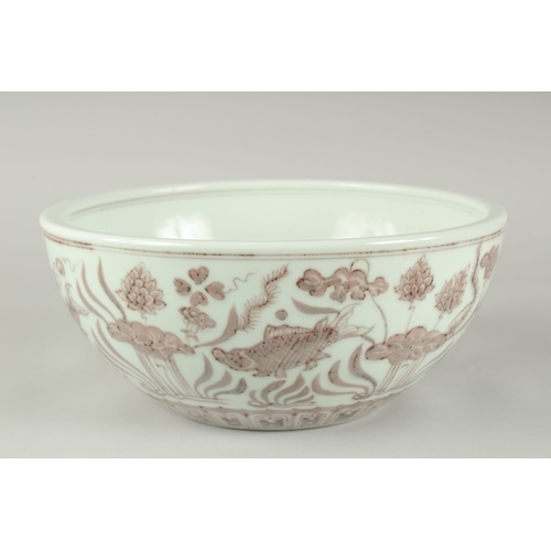 54 - A CHINESE UNDERGLAZE RED AND WHITE PORCELAIN BOWL, painted with fish and algae, 27.5cm diameter.