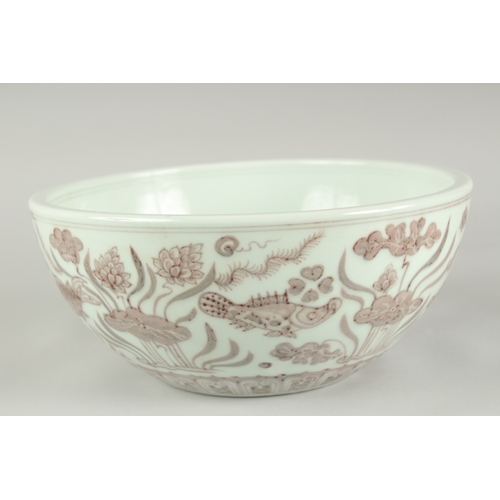 54 - A CHINESE UNDERGLAZE RED AND WHITE PORCELAIN BOWL, painted with fish and algae, 27.5cm diameter.