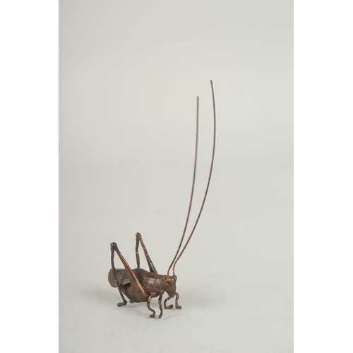 78 - A JAPANESE BRONZE OKIMONO OF A TRUE KATYDID, 4cm long.