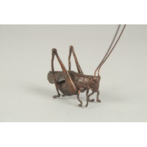 78 - A JAPANESE BRONZE OKIMONO OF A TRUE KATYDID, 4cm long.