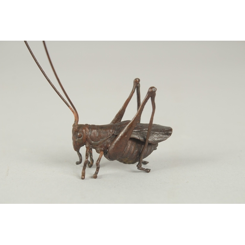 78 - A JAPANESE BRONZE OKIMONO OF A TRUE KATYDID, 4cm long.