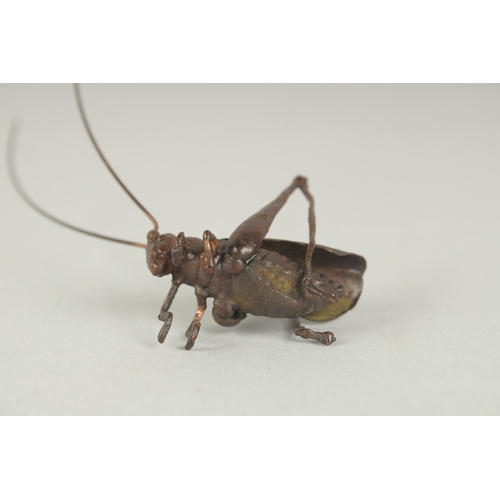 78 - A JAPANESE BRONZE OKIMONO OF A TRUE KATYDID, 4cm long.