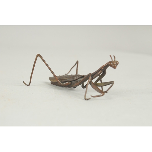 79 - A JAPANESE BRONZE OKIMONO OF A PRAYING MANTIS, with reticulated limbs and wings, body 7.5cm long.