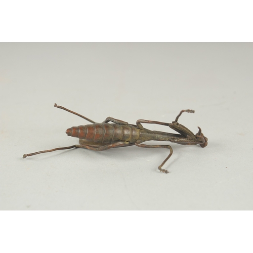 79 - A JAPANESE BRONZE OKIMONO OF A PRAYING MANTIS, with reticulated limbs and wings, body 7.5cm long.