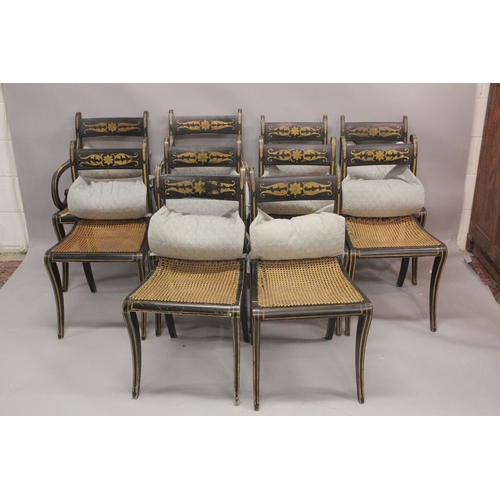 1021 - A SET OF TEN REGENCY BLACK JAPANNED AND GILDED DINING CHAIRS, 8 single and 2 carvers with canework s... 