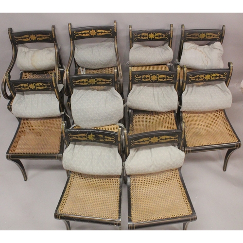 1021 - A SET OF TEN REGENCY BLACK JAPANNED AND GILDED DINING CHAIRS, 8 single and 2 carvers with canework s... 