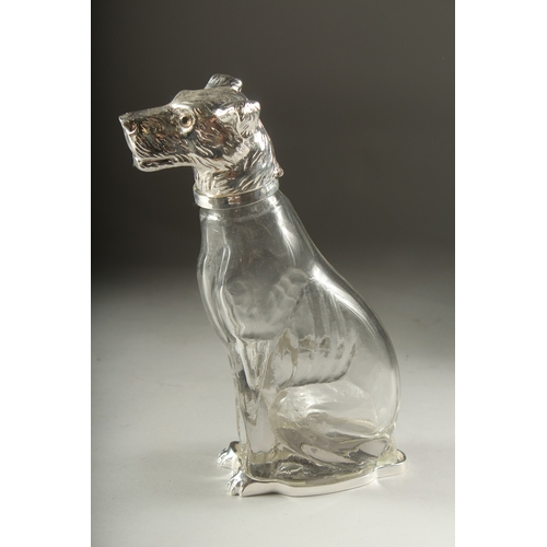 1045 - A GLASS CLARET JUG formed as a dog with silver plated head. 8ins high.