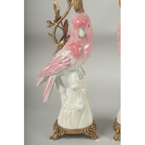 1054 - A PAIR OF PINK PORCELAIN AND GILT METAL PARAKEET CANDLESTICKS. 16ins high.