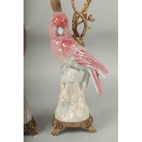 1054 - A PAIR OF PINK PORCELAIN AND GILT METAL PARAKEET CANDLESTICKS. 16ins high.