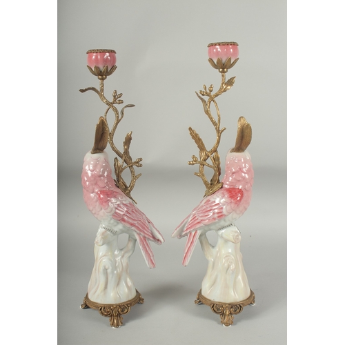 1054 - A PAIR OF PINK PORCELAIN AND GILT METAL PARAKEET CANDLESTICKS. 16ins high.