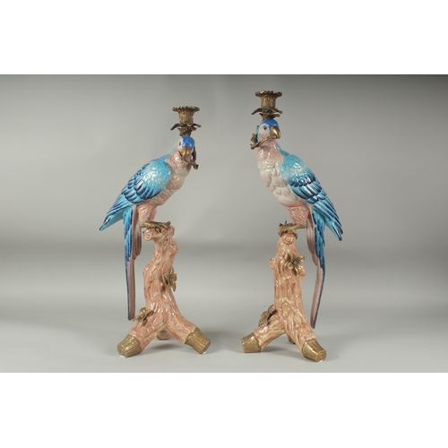 1055 - A GOOD PAIR OF BLUE PORCELAIN PARAKEET CANDLESTICKS with gilt metal candle holders, standing on a br... 