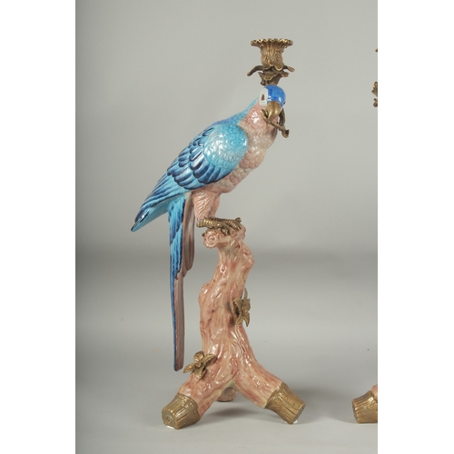 1055 - A GOOD PAIR OF BLUE PORCELAIN PARAKEET CANDLESTICKS with gilt metal candle holders, standing on a br... 