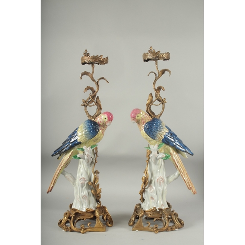 1056 - A GOOD PAIR OF BLUE PORCELAIN PARAKEET CANDLESTICKS with gilt metal candle holders, standing on a tr... 