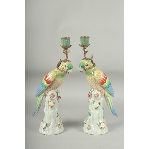 1057 - A PAIR OF GREEN PORCELAIN PARAKEET CANDLESTICKS on encrusted tree stumps. 13ins high.