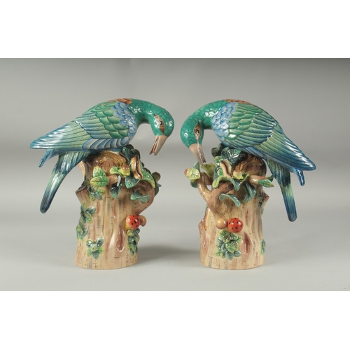 1058 - A GOOD PAIR OF PORCELAIN PARAKEETS standing on tree stumps, encrusted with fruit.